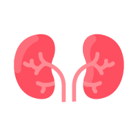 complicaciones cardiovasculares riñones